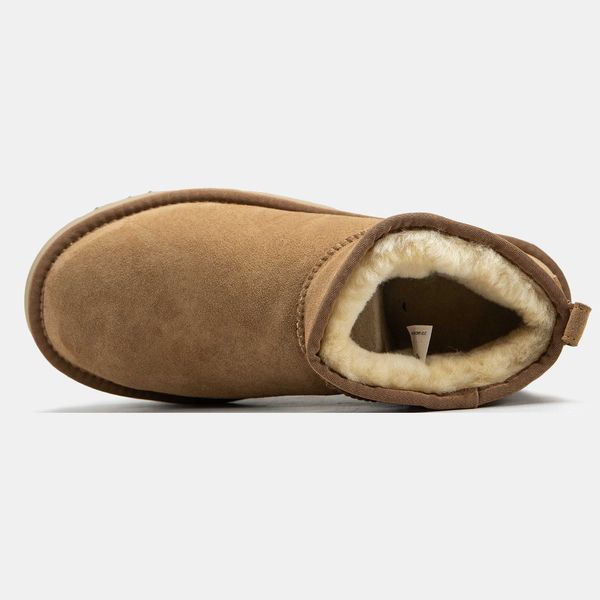 Уггі UGG Ultra Mini Platform Ginger 14234--36 фото