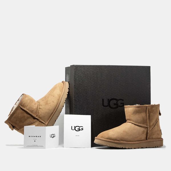 Уггі UGG Classic Mini Chestnut 04109--36 фото