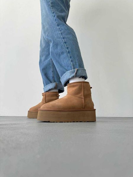 Уггі Ugg Mini Platform Chestnut 13988--36 фото